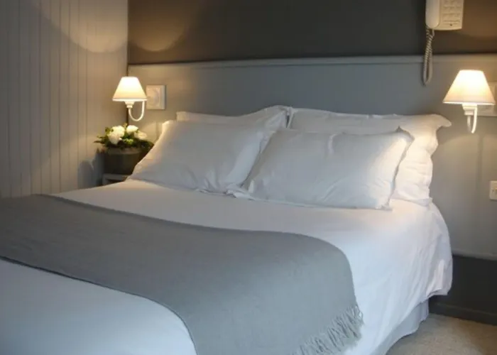 Tête D'orHotel Lyon